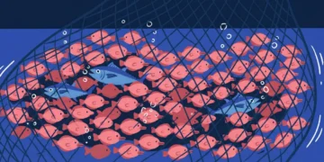 วิกฤตอาหารทะเลไทย: ปลาอร่อยลดลง ปลาเป็ดเพิ่มขึ้น